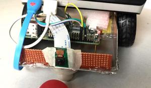 Raspberry Pi Ball Tracking Robot using processing