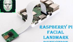 Raspberry Pi Facial Landmark Detection