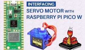 Raspberry Pi Pico W with Servo Motor