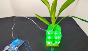 Touch Sensitive Color Changing Plants using Arduino and RGB LEDs