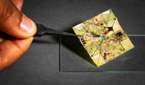 Origami Microfliers