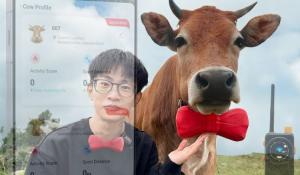 Tracking Cows Without Cell Towers A Custom LoRa Farm Network