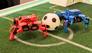 Small Quadruped Robot Playing Soccer On Field