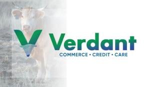 Agritech Startup Verdant Impact Raises $3 Million