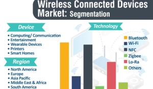 Wireless Connected Devices Market Segmentation