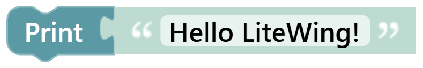 Print Message Block