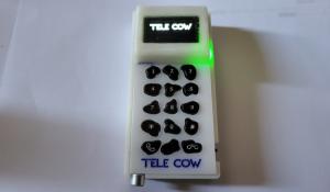 Pi Tele Cow
